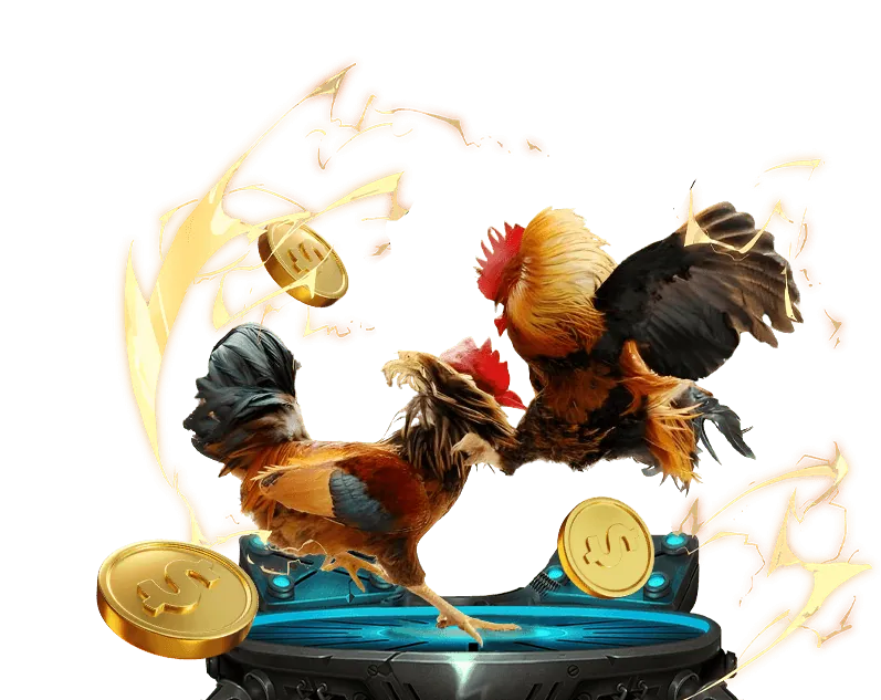 Gà chọi cựa sắt đang giao đấu kịch tính tại Jun88v8.